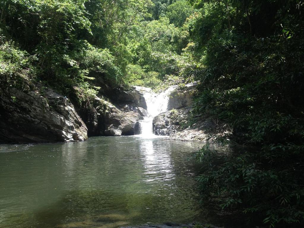 Love And Peace Deep Jungle River Paradise Resort Puerto Princesa Kültér fotó